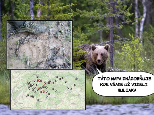 Medvedí informačný systém