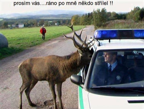 Sťažnosť